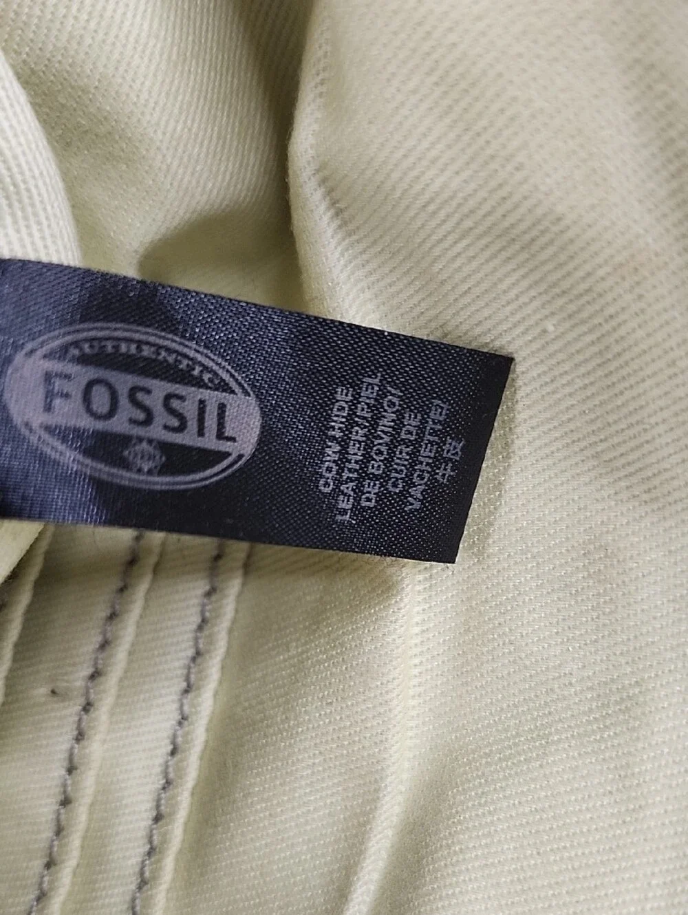 Fossil crafted from